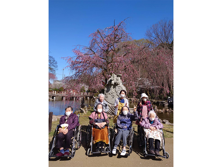 岐阜護国神社桜見