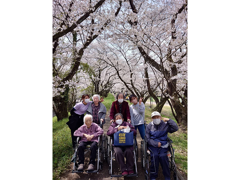 柳津境川桜見満開