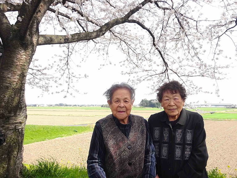 桜の木の下で
